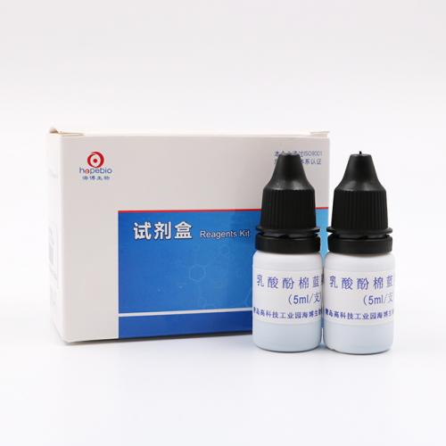ȾɫҺ   5ml*8