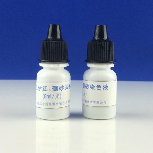 졢ɰȾɫҺ  5ml*4֧