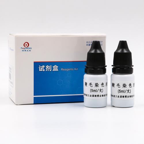 ëȾɫҺ  5ml*8֧