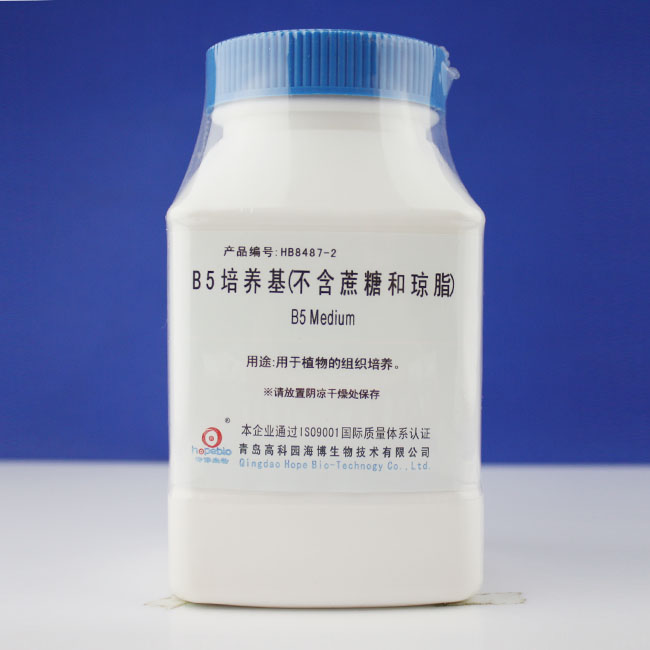 B5֬ǣ   250g