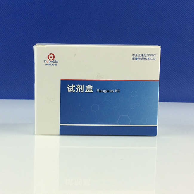 ȾɫҺҽƣ 5ml*6