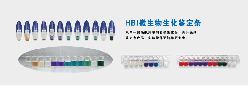 HBI΢