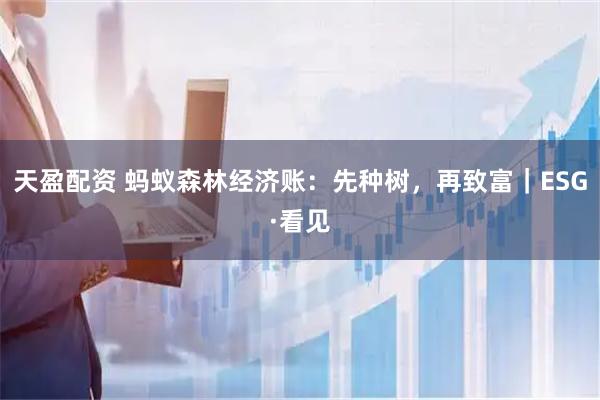 天盈配资 蚂蚁森林经济账：先种树，再致富｜ESG·看见