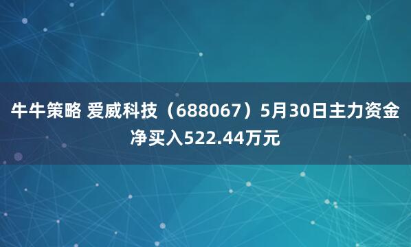 牛牛策略 爱威科技（688067）5月30日主力资金净买入522.44万元